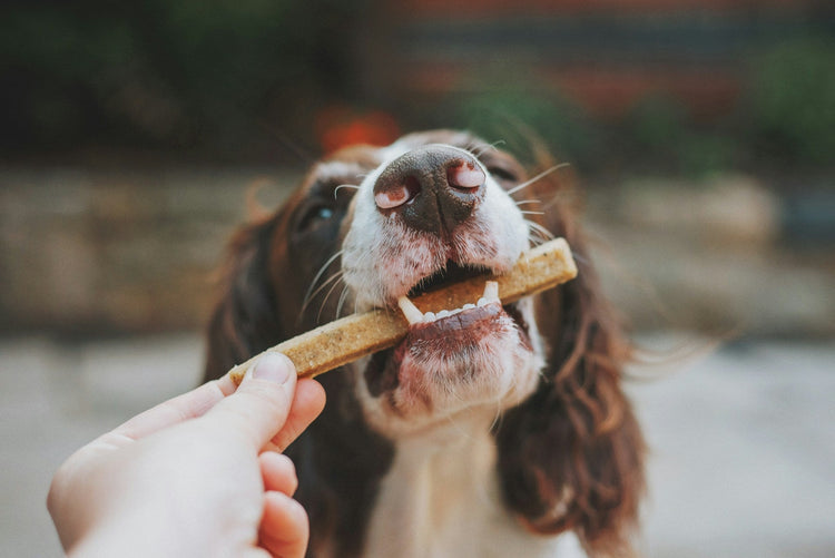 Snack-Attack