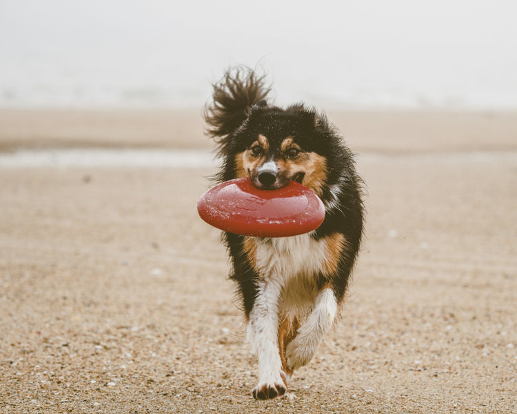 Playtime