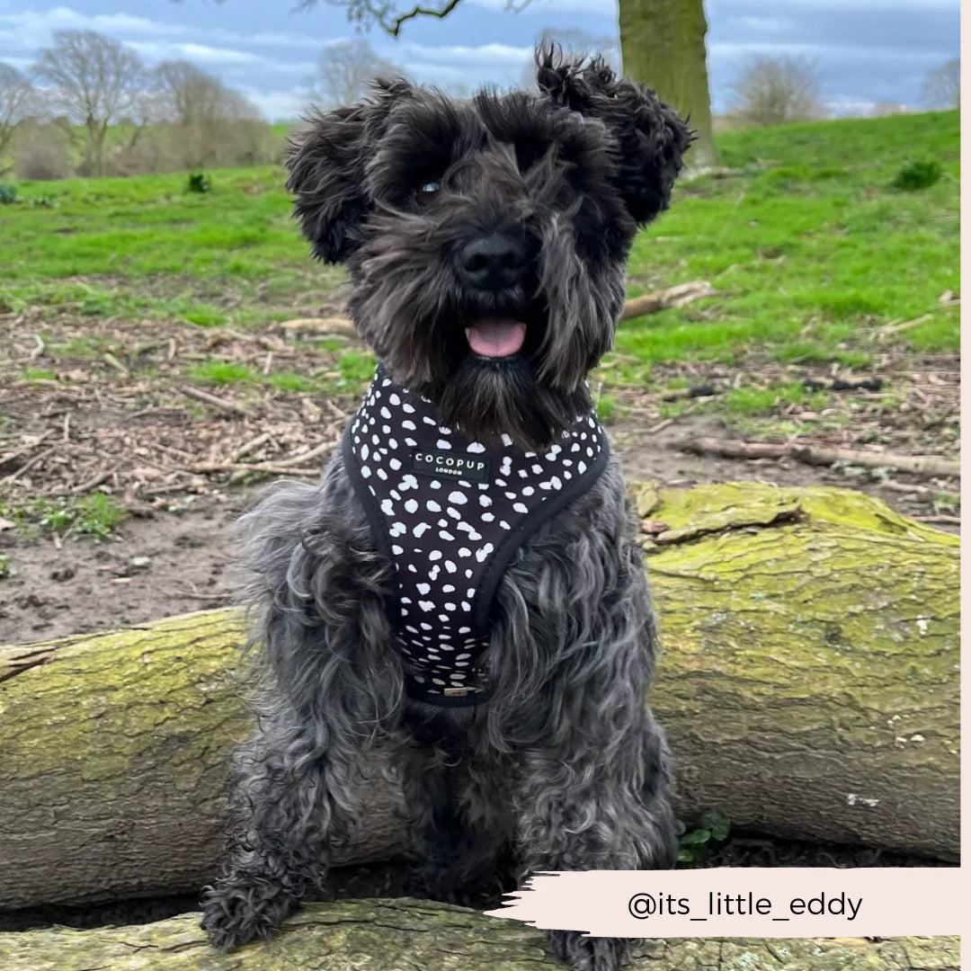 Cocopup London's Adjustable Neck Harness (Black Leopard)