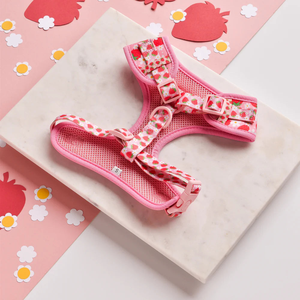 Cocopup London's Adjustable Neck Harness (Pupberry Fields)