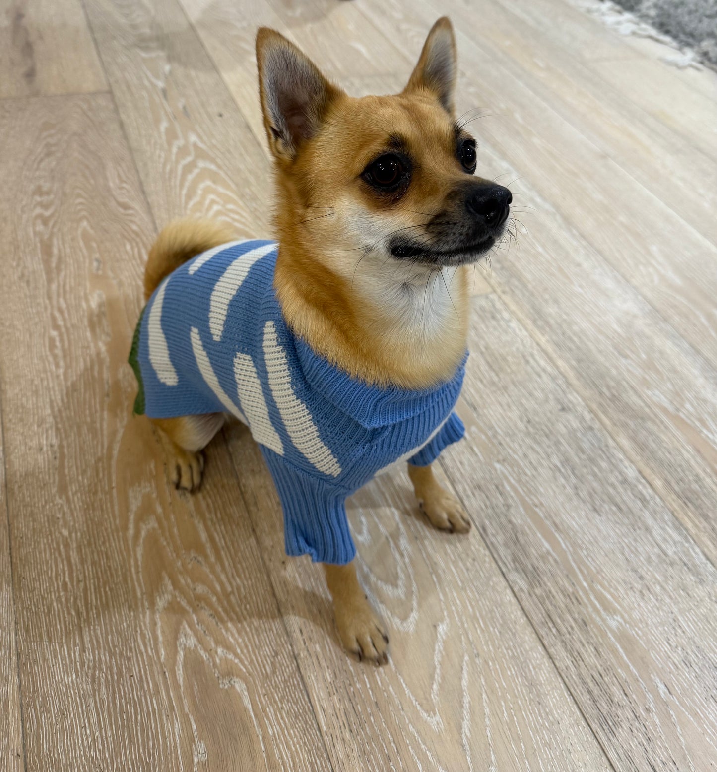 Cloudy Jacquard Sweater