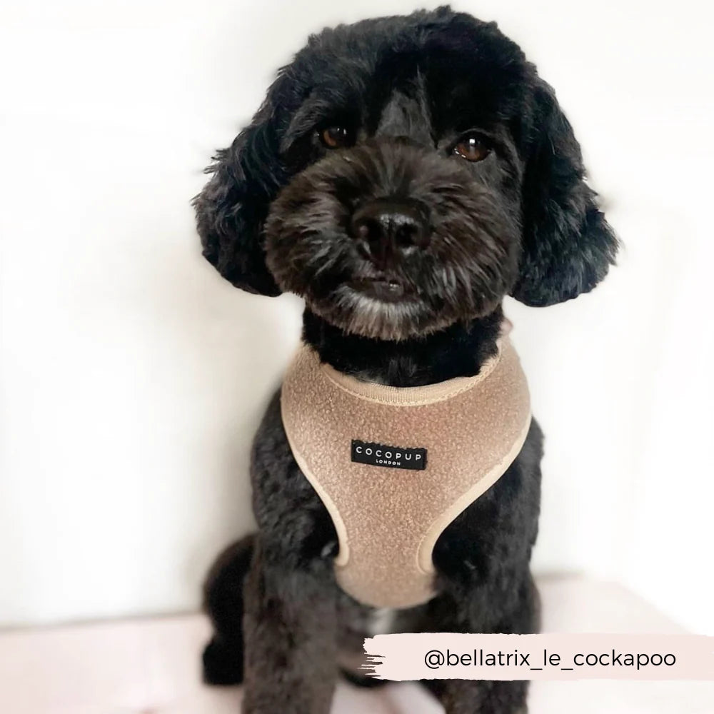 Cocopup London's Adjustable Neck Harness (Teddy Rupert)