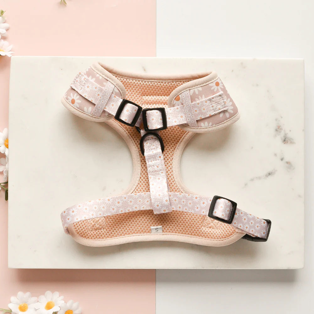 Cocopup London's Adjustable Neck Harness (Daisy Chain)