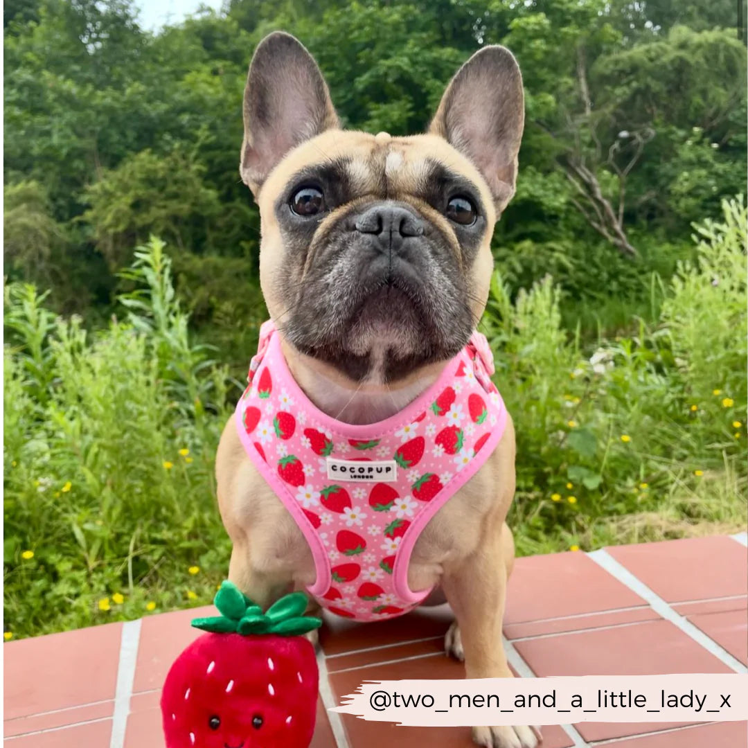 Cocopup London's Adjustable Neck Harness (Pupberry Fields)