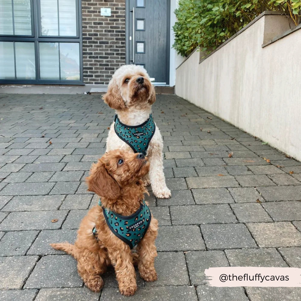 Cocopup London's Adjustable Neck Harness (Khaki Leopard)