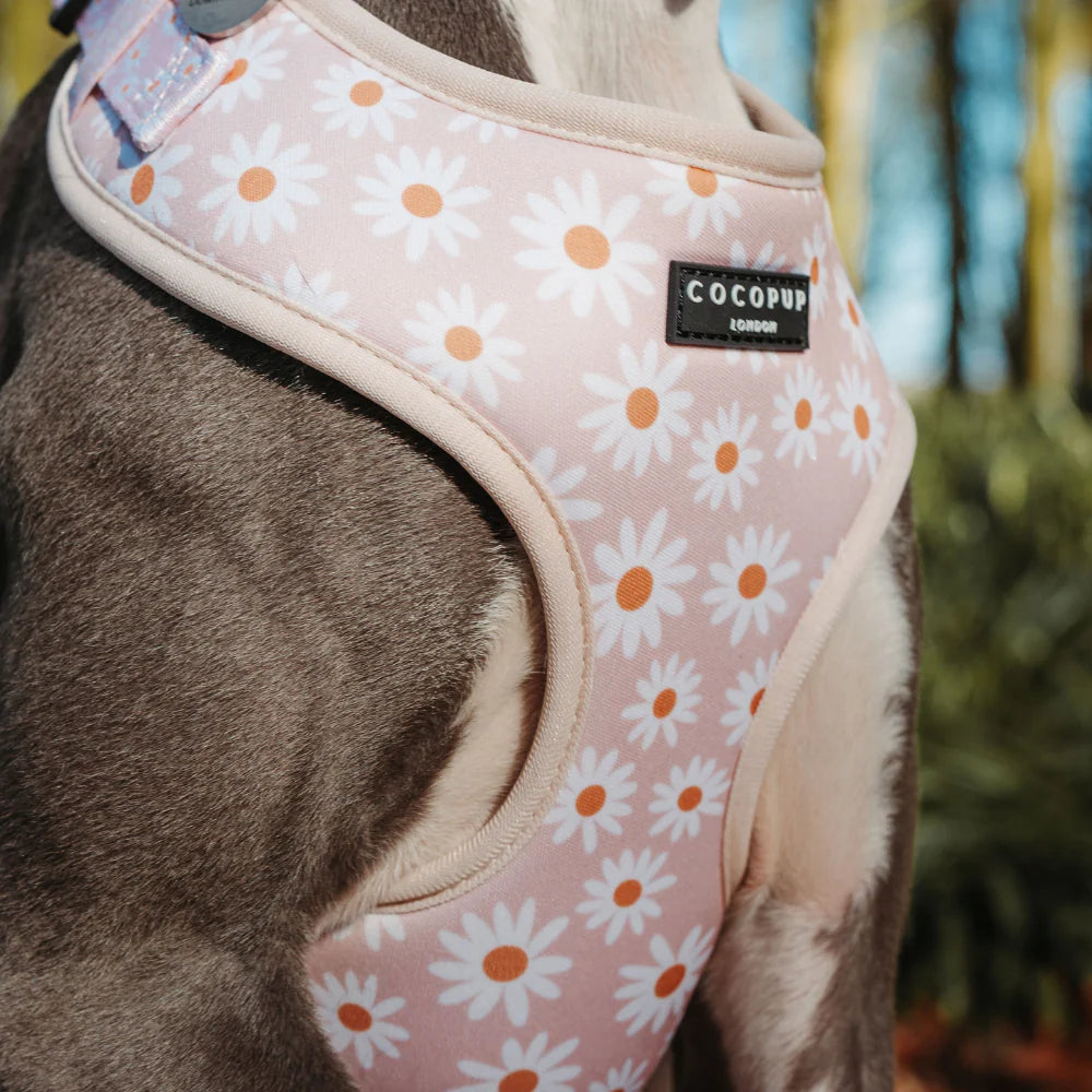Cocopup London's Adjustable Neck Harness (Daisy Chain)