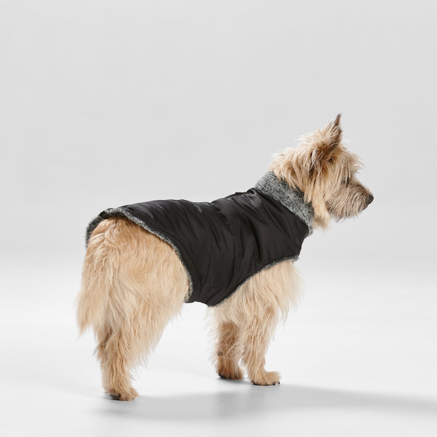 Snooza Wear's Black Puffer
