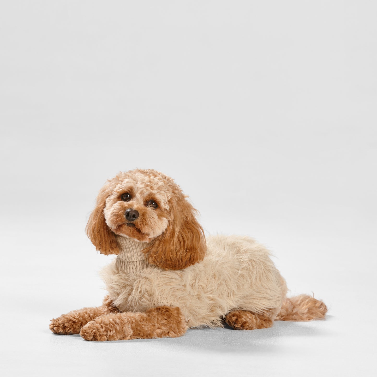 Snooza Wear's Fur Knit Jumper