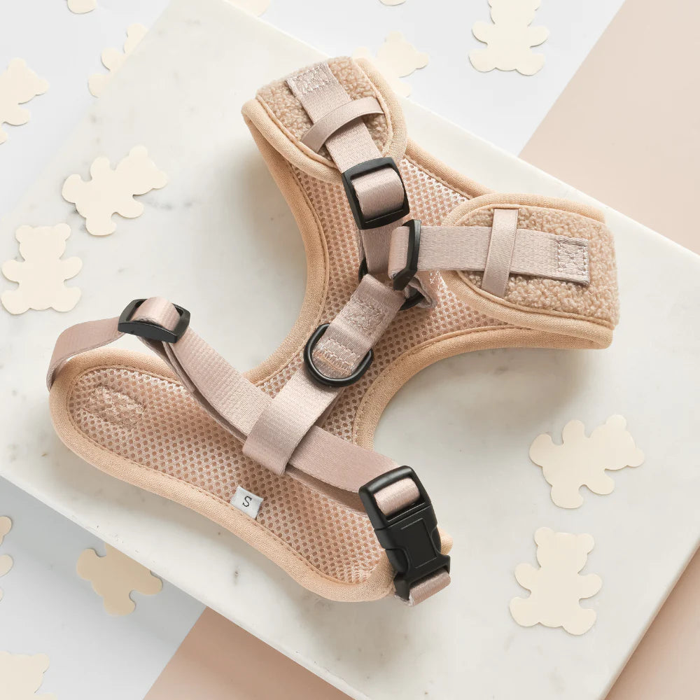 Cocopup London's Adjustable Neck Harness (Teddy Rupert)