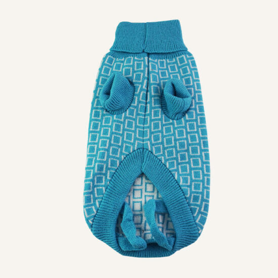 Dan & Sam's Grooving Dog Jumper