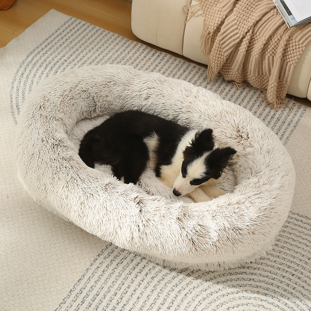 Donut-Shaped Bed