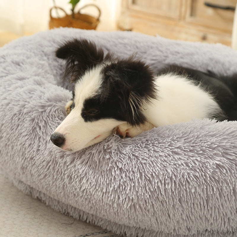 Donut-Shaped Bed