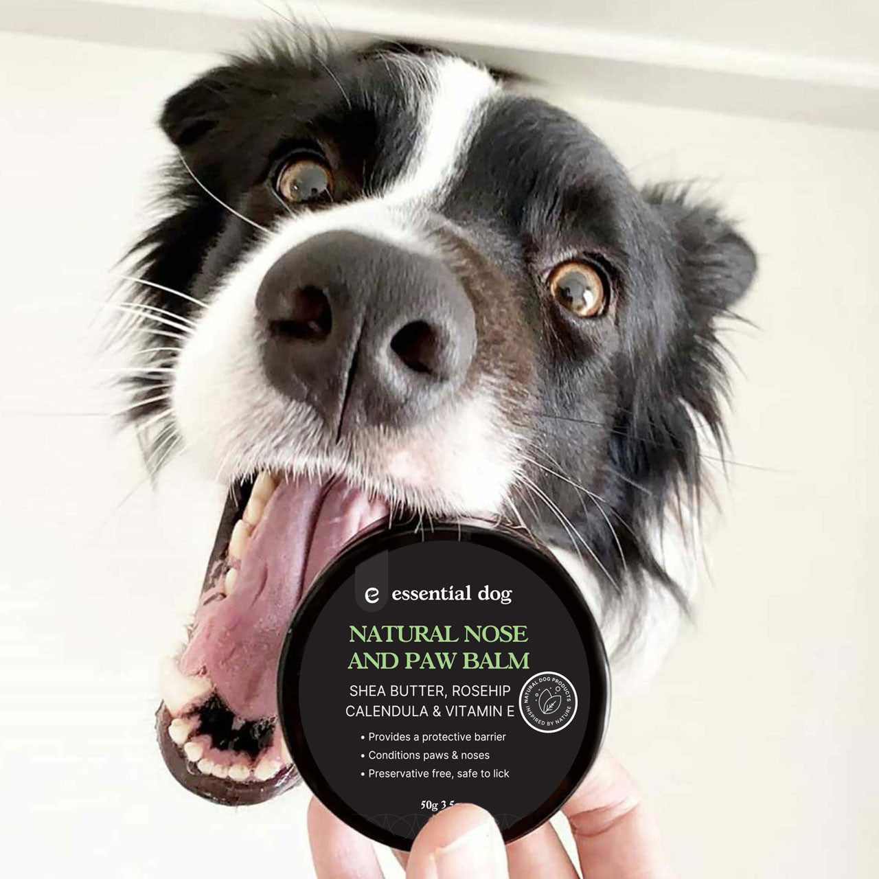 Essential Dog Nose and Paw Balm 50g