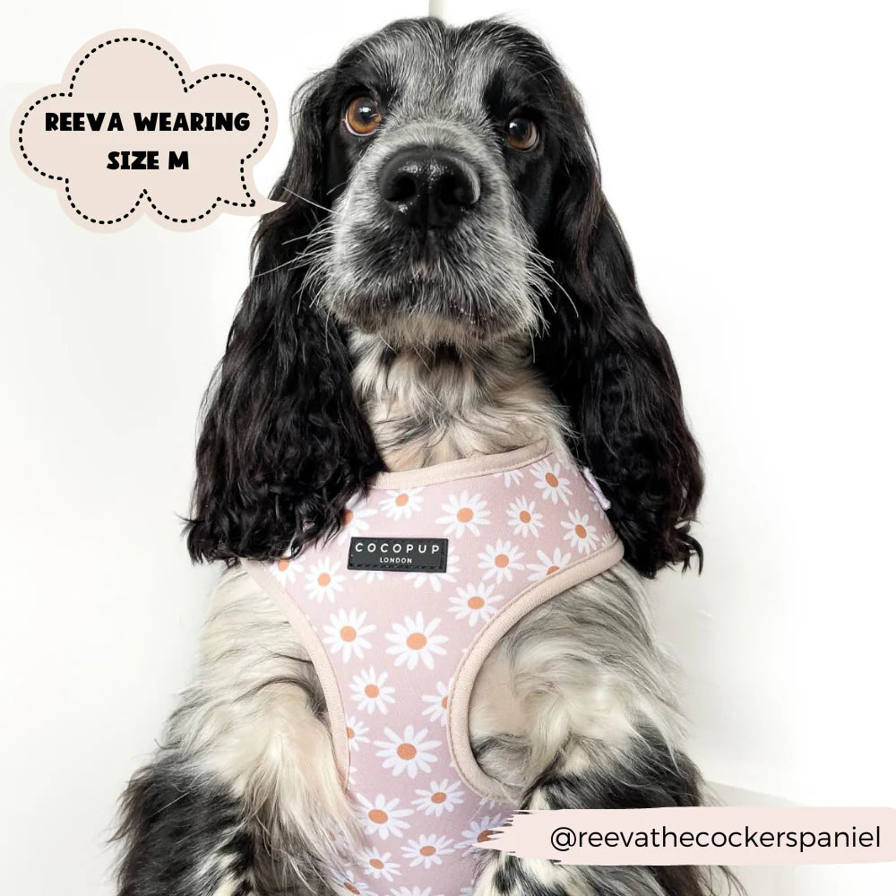 Cocopup London's Adjustable Neck Harness (Daisy Chain)