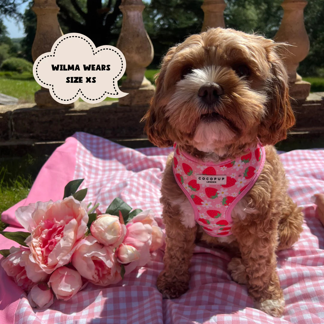 Cocopup London's Adjustable Neck Harness (Pupberry Fields)