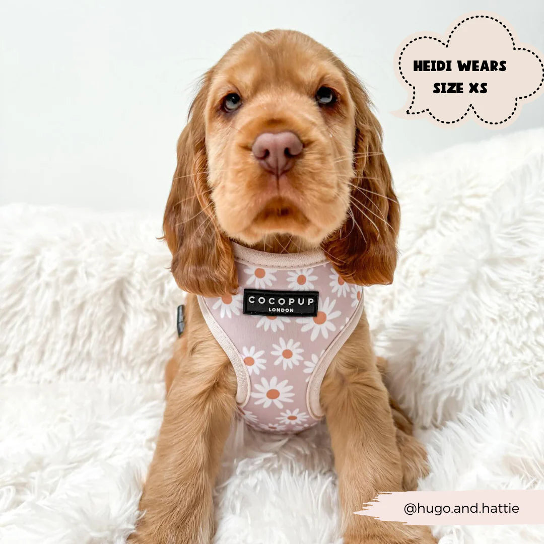Cocopup London's Adjustable Neck Harness (Daisy Chain)