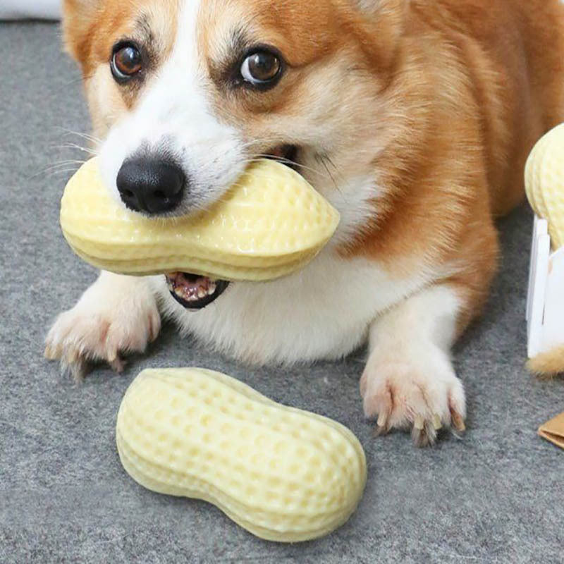 Squeaky Toy
