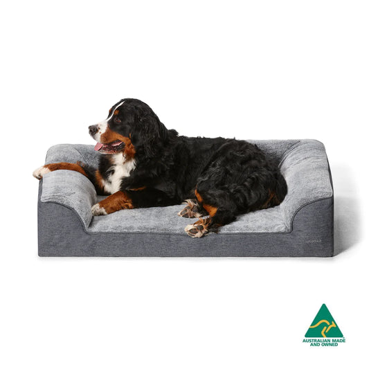 Ortho Dream Sofa by Snooza