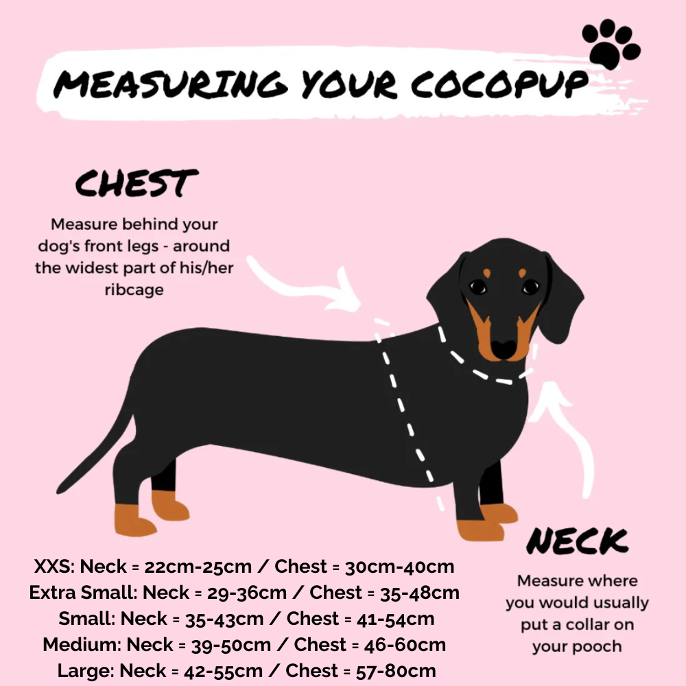 Cocopup London's Adjustable Neck Harness (Teddy Rupert)