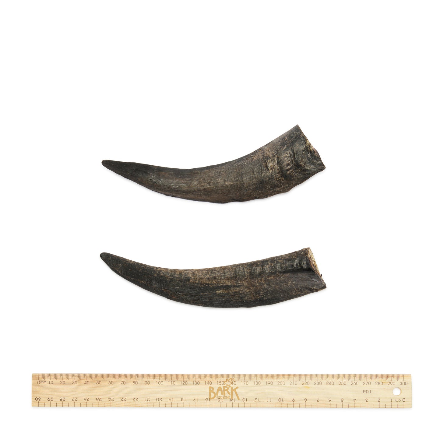 Bark & Beyond's Goat Horn