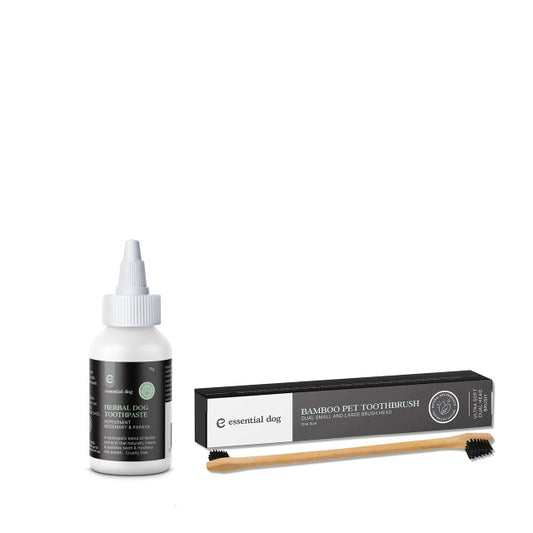 Bamboo Dental Care Kit