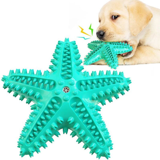 Starfish Chew Toy